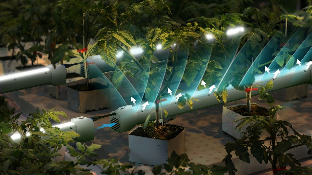 PURE P60 - Under Canopy Light With Air System