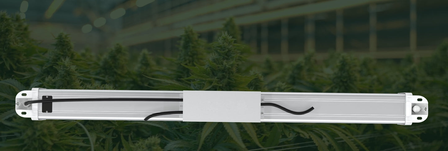 PURE Photons Horti-PRINCE 300w LED Toplight