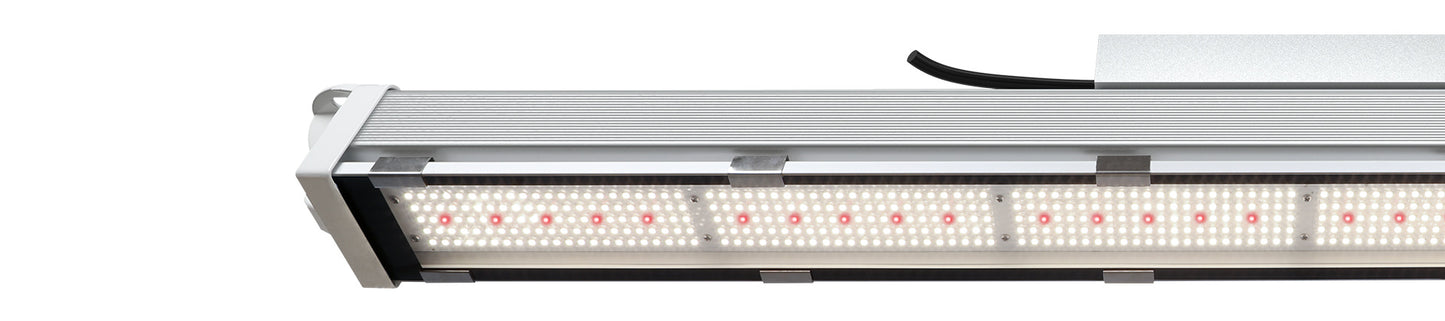 PURE Photons Horti-PRINCE 300w LED Toplight