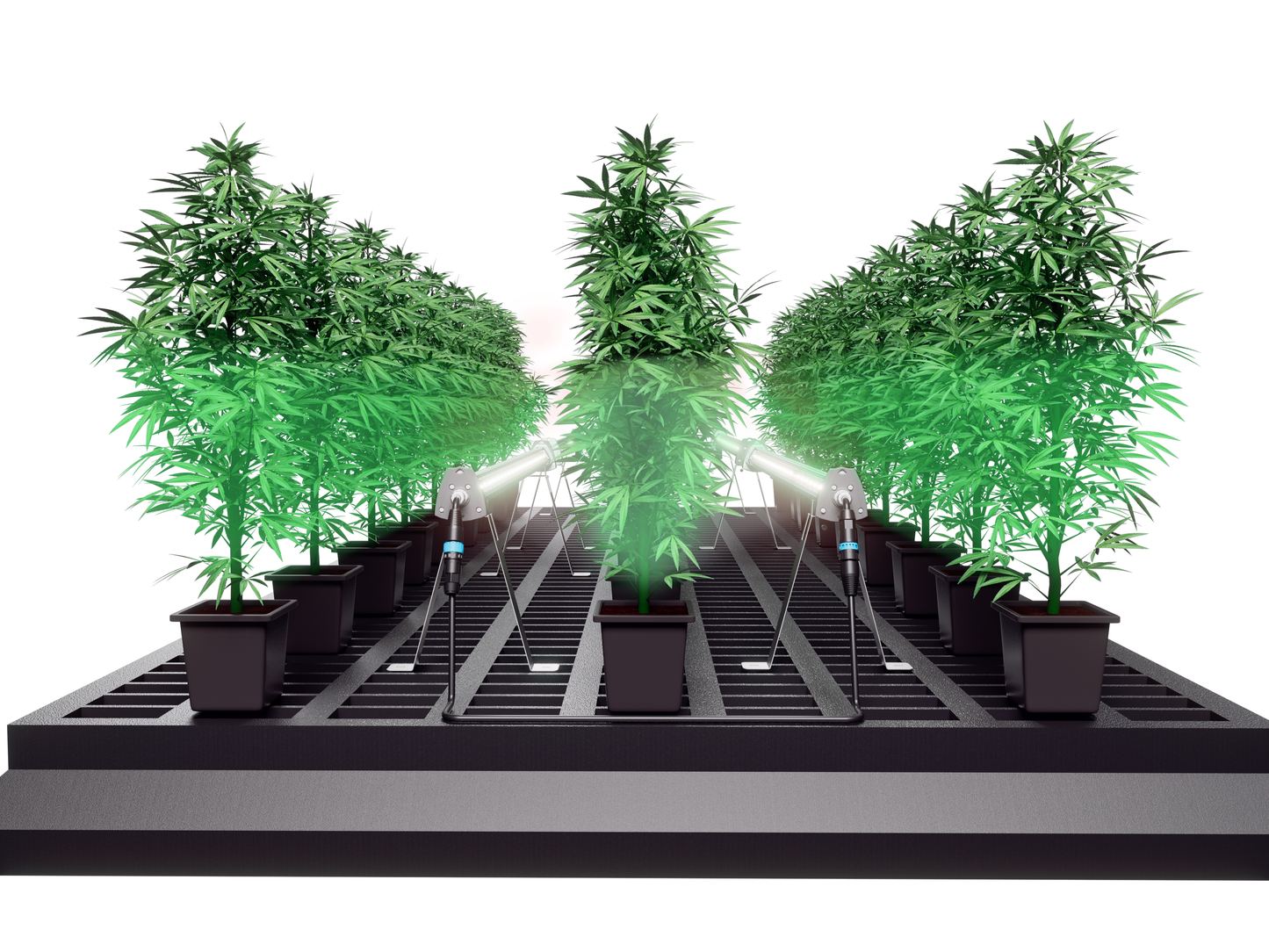 PURE Horti-Max Inter Canopy LED