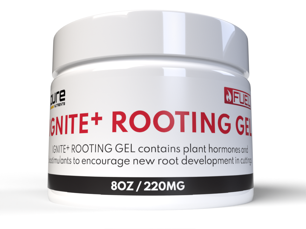 PURE IGNITE+® CLONE GEL