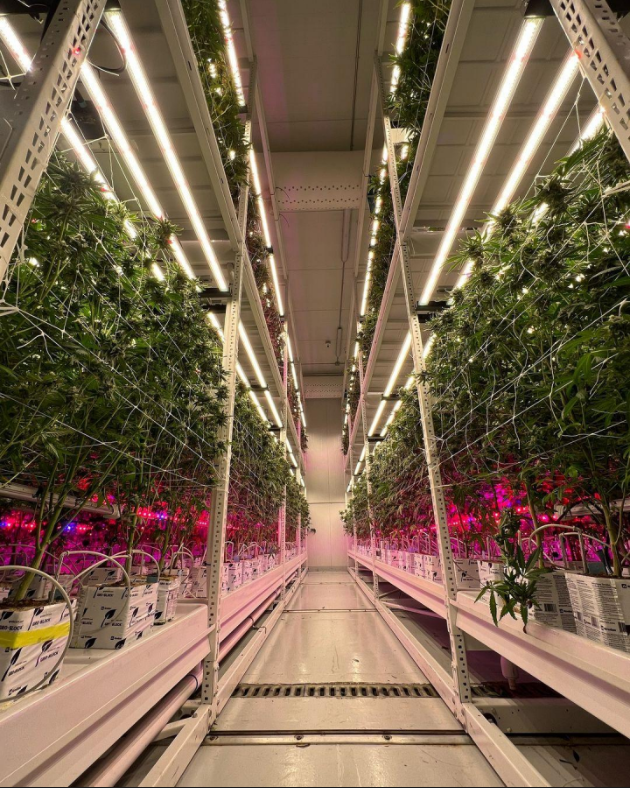 PURE Horti-Max Inter Canopy LED